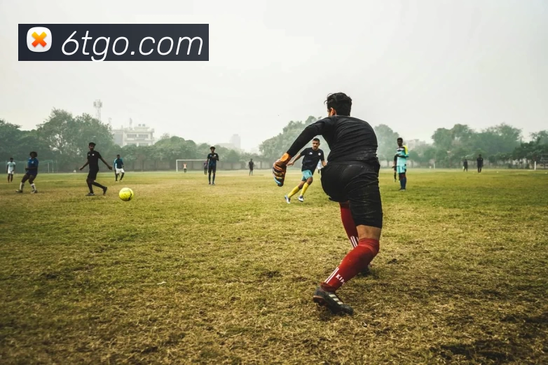 6T体育官网APP 封面图